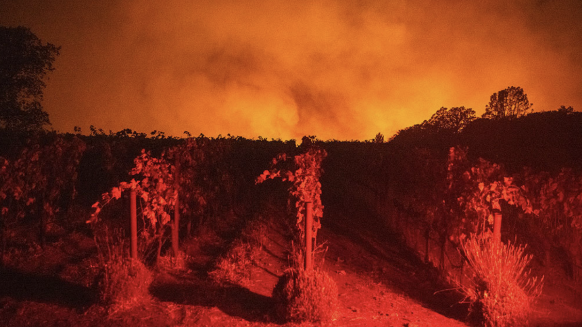 Incêndios em Napa Valley