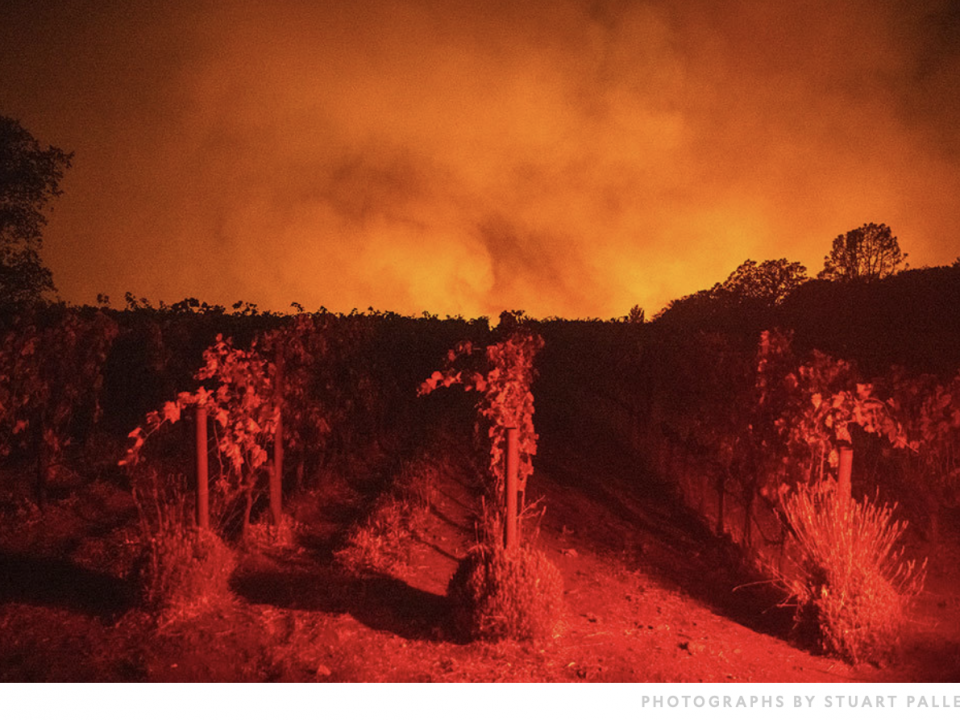 Incêndios em Napa Valley